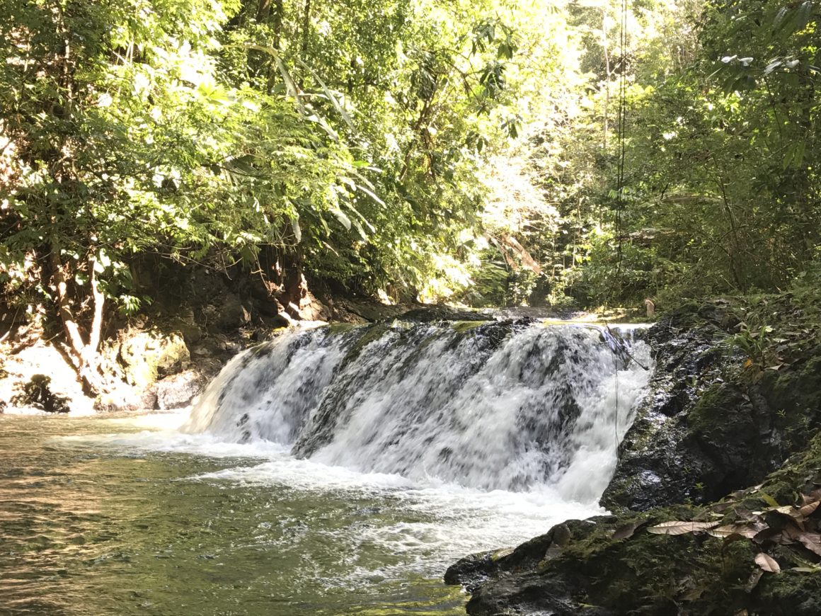 Combo Tour/San Pedrillo & Caño Island