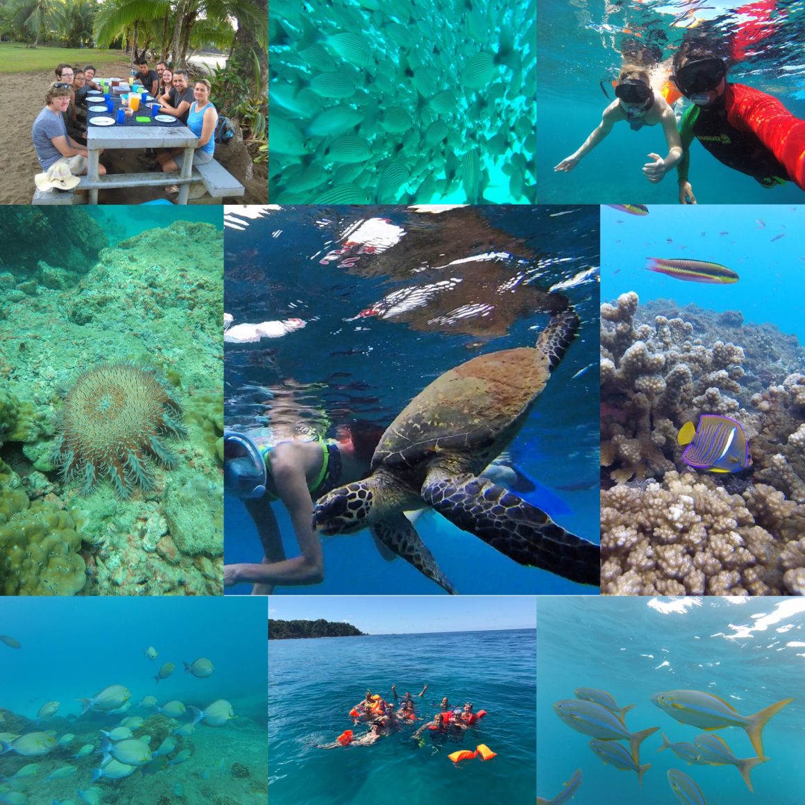 Snorkeling Tour – Caño Island Biological Reserve