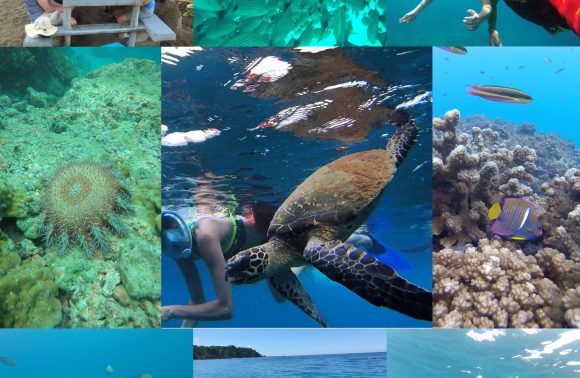 Snorkeling Tour – Caño Island Biological Reserve